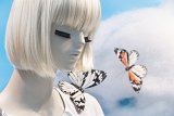4 - BELLA SENZ'ANIMA